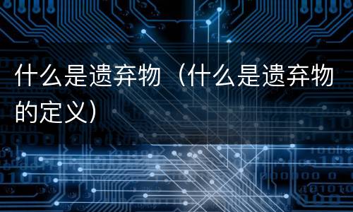 什么是遗弃物（什么是遗弃物的定义）
