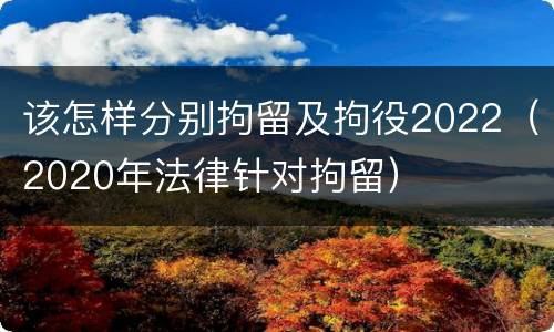 该怎样分别拘留及拘役2022（2020年法律针对拘留）