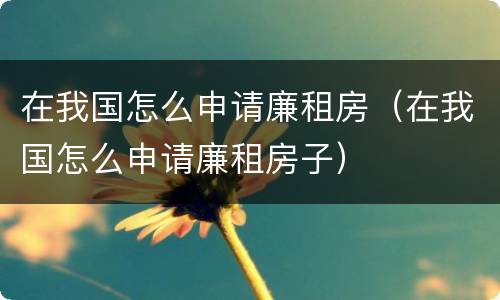 在我国怎么申请廉租房（在我国怎么申请廉租房子）