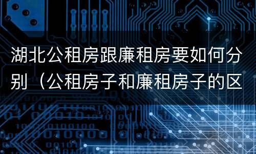 湖北公租房跟廉租房要如何分别（公租房子和廉租房子的区别）