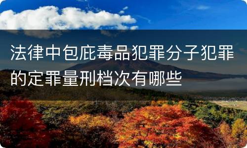 法律中包庇毒品犯罪分子犯罪的定罪量刑档次有哪些