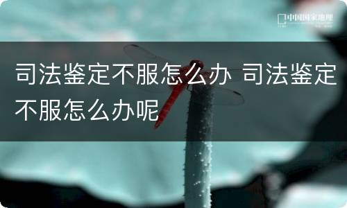 司法鉴定不服怎么办 司法鉴定不服怎么办呢