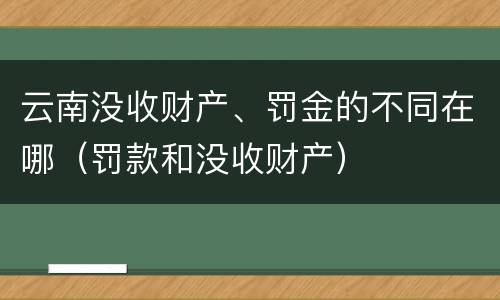 云南没收财产、罚金的不同在哪（罚款和没收财产）