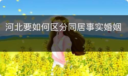 河北要如何区分同居事实婚姻