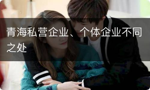 青海私营企业、个体企业不同之处