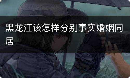 黑龙江该怎样分别事实婚姻同居