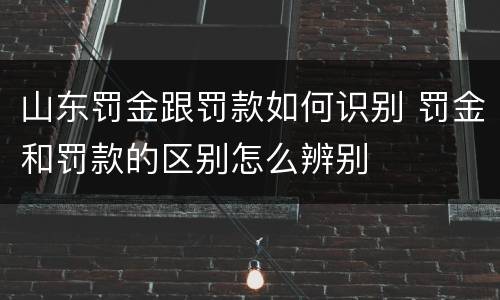 山东罚金跟罚款如何识别 罚金和罚款的区别怎么辨别