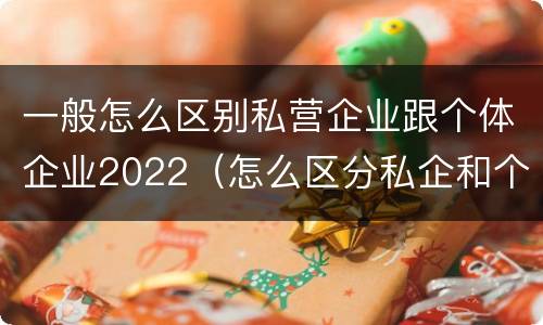 一般怎么区别私营企业跟个体企业2022（怎么区分私企和个体）