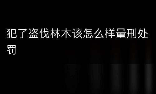 犯了盗伐林木该怎么样量刑处罚