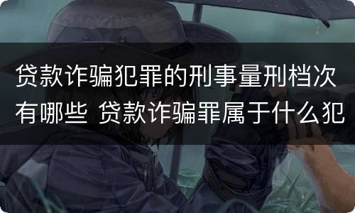 贷款诈骗犯罪的刑事量刑档次有哪些 贷款诈骗罪属于什么犯罪类型