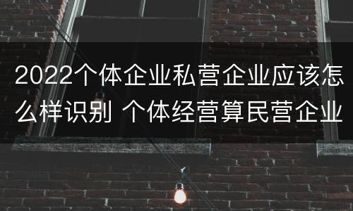 2022个体企业私营企业应该怎么样识别 个体经营算民营企业吗