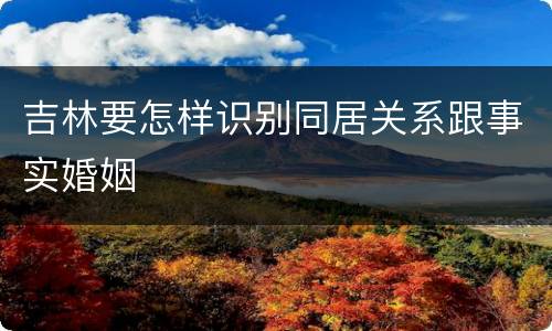 吉林要怎样识别同居关系跟事实婚姻