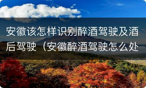 安徽该怎样识别醉酒驾驶及酒后驾驶（安徽醉酒驾驶怎么处罚）