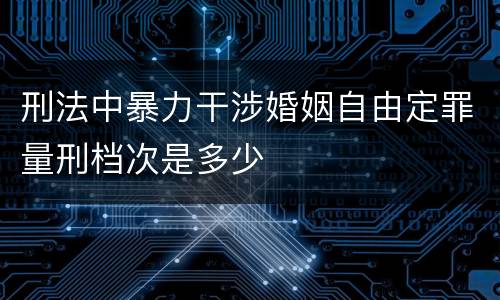 刑法中暴力干涉婚姻自由定罪量刑档次是多少