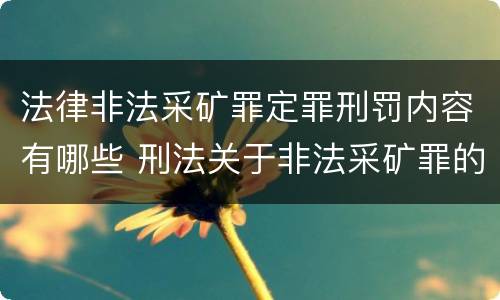 法律非法采矿罪定罪刑罚内容有哪些 刑法关于非法采矿罪的规定