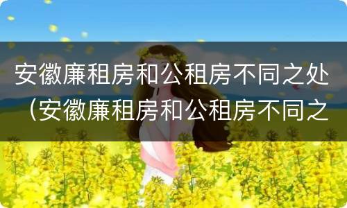 安徽廉租房和公租房不同之处（安徽廉租房和公租房不同之处在哪）