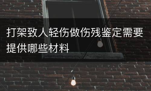 打架致人轻伤做伤残鉴定需要提供哪些材料