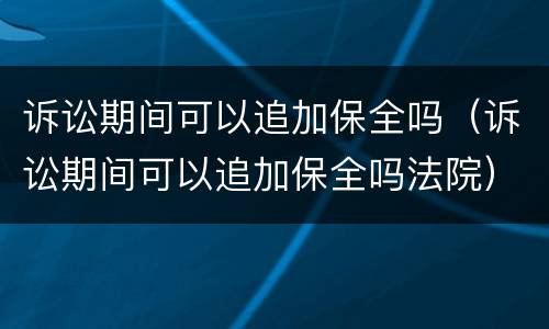 诉讼期间可以追加保全吗（诉讼期间可以追加保全吗法院）
