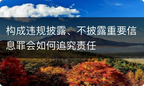 构成违规披露、不披露重要信息罪会如何追究责任