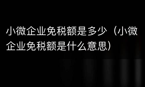 小微企业免税额是多少（小微企业免税额是什么意思）