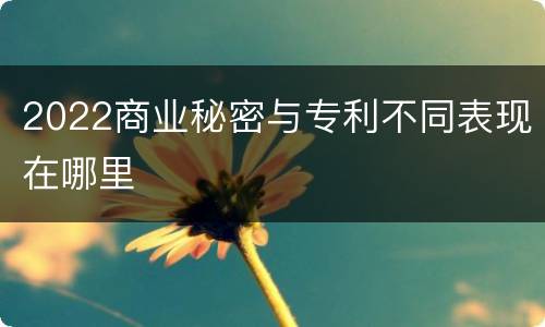 2022商业秘密与专利不同表现在哪里