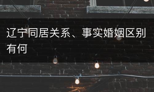 辽宁同居关系、事实婚姻区别有何