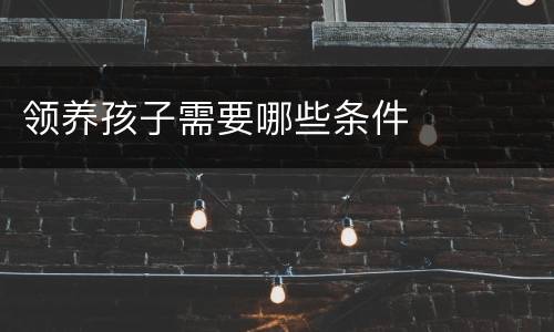 领养孩子需要哪些条件