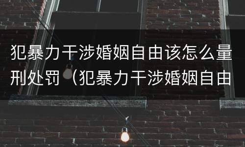 犯暴力干涉婚姻自由该怎么量刑处罚（犯暴力干涉婚姻自由该怎么量刑处罚案例）