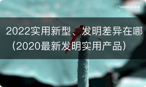 2022实用新型、发明差异在哪（2020最新发明实用产品）