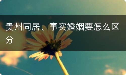 贵州同居、事实婚姻要怎么区分