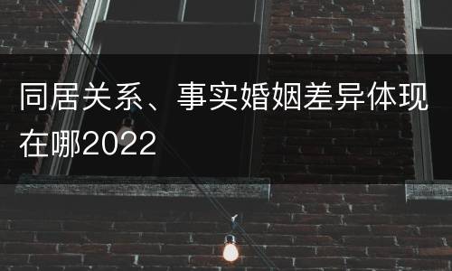同居关系、事实婚姻差异体现在哪2022
