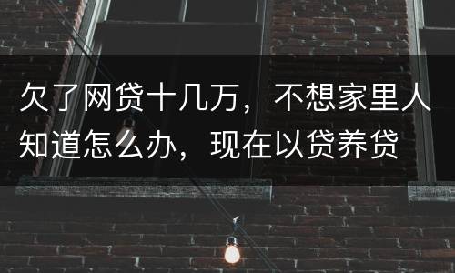 欠了网贷十几万，不想家里人知道怎么办，现在以贷养贷