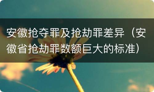安徽抢夺罪及抢劫罪差异（安徽省抢劫罪数额巨大的标准）