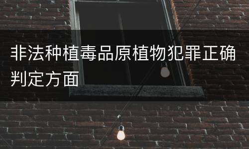 非法种植毒品原植物犯罪正确判定方面