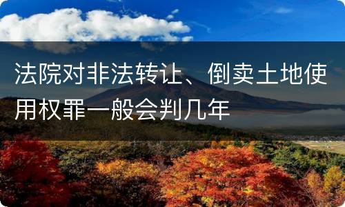 法院对非法转让、倒卖土地使用权罪一般会判几年