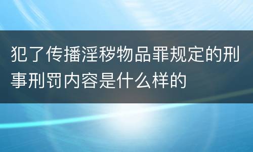 犯了传播淫秽物品罪规定的刑事刑罚内容是什么样的