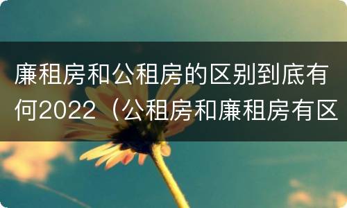 廉租房和公租房的区别到底有何2022（公租房和廉租房有区别吗）
