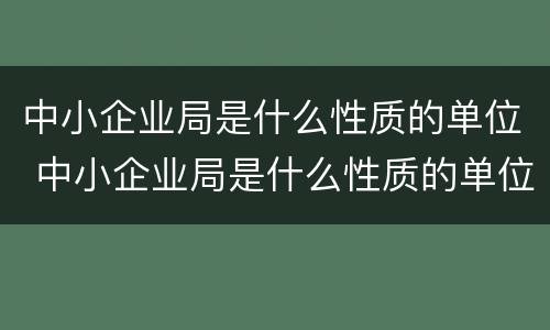 中小企业局是什么性质的单位 中小企业局是什么性质的单位类型