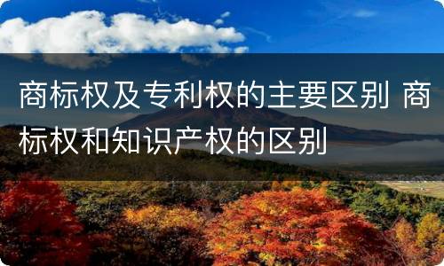 商标权及专利权的主要区别 商标权和知识产权的区别