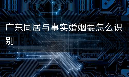 广东同居与事实婚姻要怎么识别