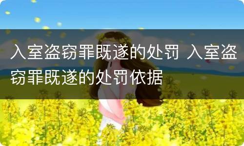 入室盗窃罪既遂的处罚 入室盗窃罪既遂的处罚依据