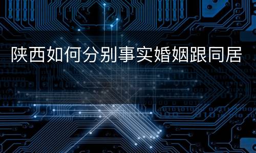 陕西如何分别事实婚姻跟同居