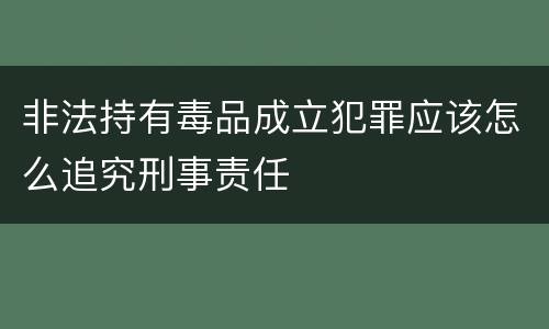 非法持有毒品成立犯罪应该怎么追究刑事责任