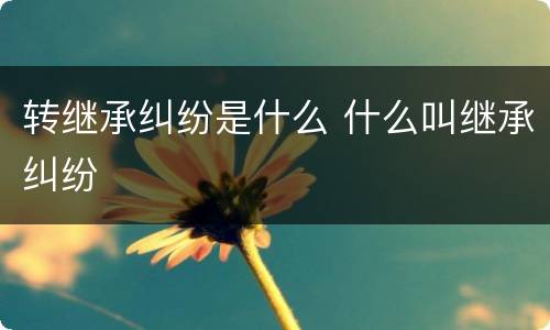 转继承纠纷是什么 什么叫继承纠纷