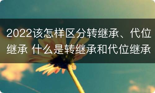 2022该怎样区分转继承、代位继承 什么是转继承和代位继承