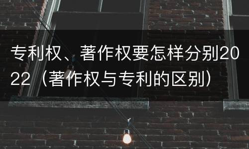 专利权、著作权要怎样分别2022（著作权与专利的区别）