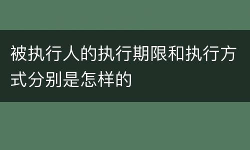 被执行人的执行期限和执行方式分别是怎样的