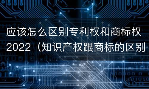 应该怎么区别专利权和商标权2022（知识产权跟商标的区别）