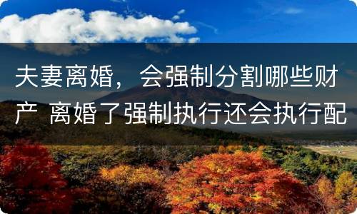 夫妻离婚，会强制分割哪些财产 离婚了强制执行还会执行配偶吗