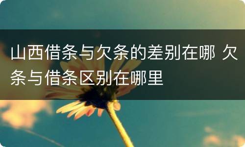 山西借条与欠条的差别在哪 欠条与借条区别在哪里